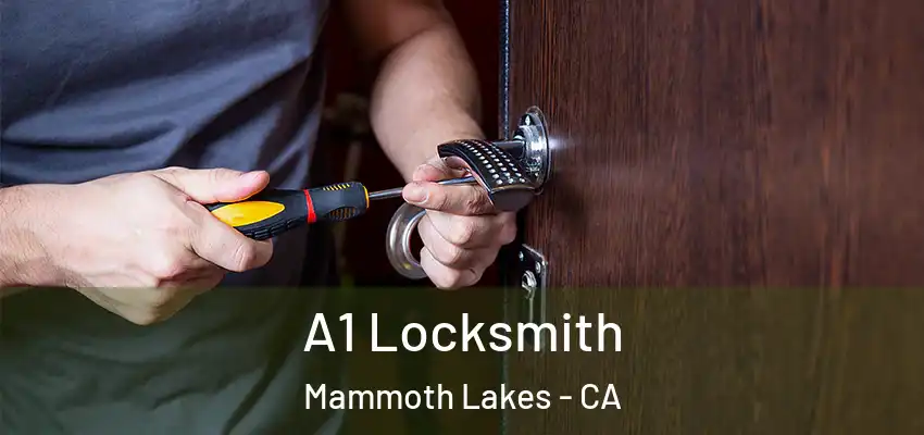  A1 Locksmith Mammoth Lakes - CA
