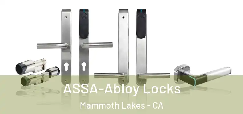  ASSA-Abloy Locks Mammoth Lakes - CA