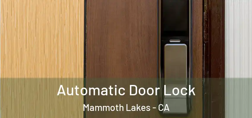  Automatic Door Lock Mammoth Lakes - CA