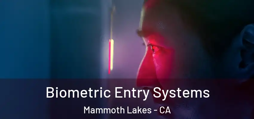  Biometric Entry Systems Mammoth Lakes - CA