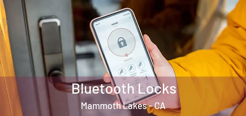  Bluetooth Locks Mammoth Lakes - CA