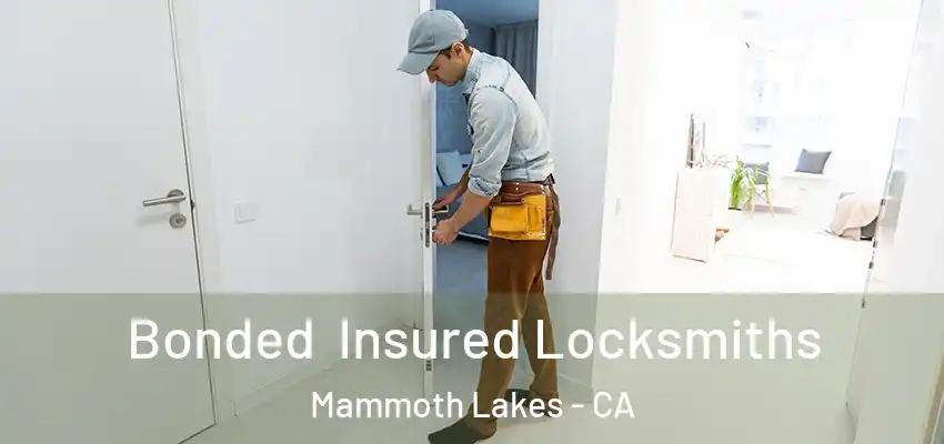  Bonded Insured Locksmiths Mammoth Lakes - CA