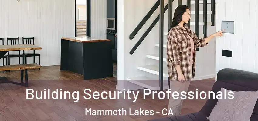  Building Security Professionals Mammoth Lakes - CA