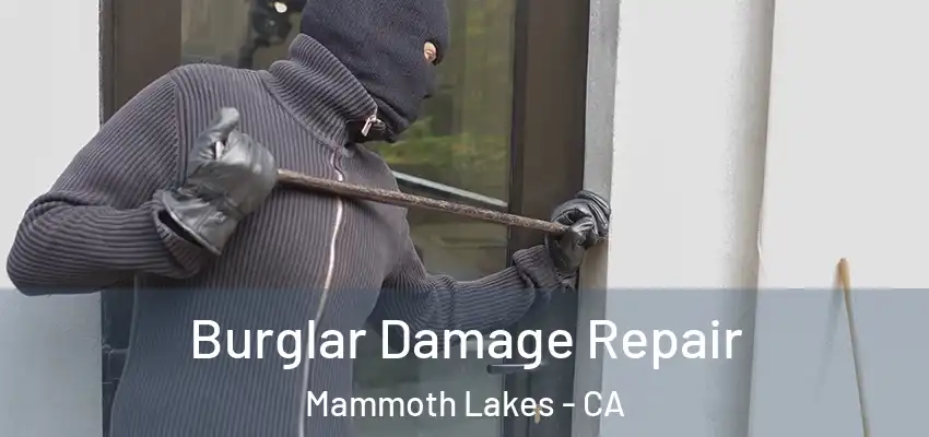  Burglar Damage Repair Mammoth Lakes - CA