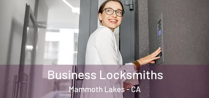  Business Locksmiths Mammoth Lakes - CA