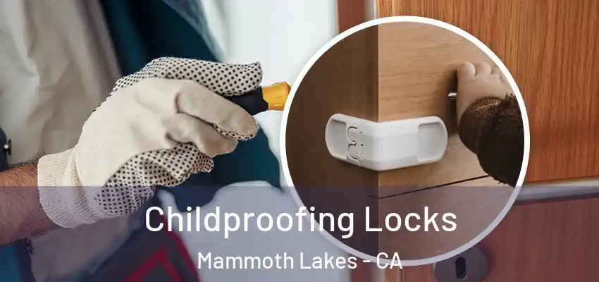  Childproofing Locks Mammoth Lakes - CA