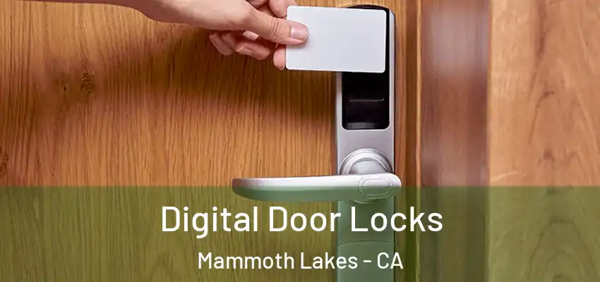  Digital Door Locks Mammoth Lakes - CA