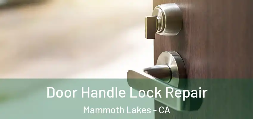  Door Handle Lock Repair Mammoth Lakes - CA