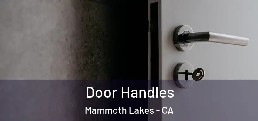  Door Handles Mammoth Lakes - CA