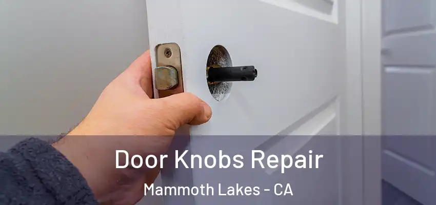  Door Knobs Repair Mammoth Lakes - CA
