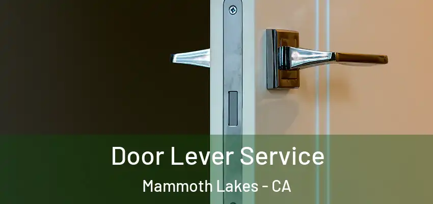  Door Lever Service Mammoth Lakes - CA