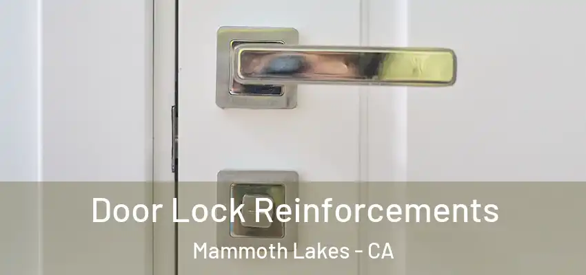  Door Lock Reinforcements Mammoth Lakes - CA