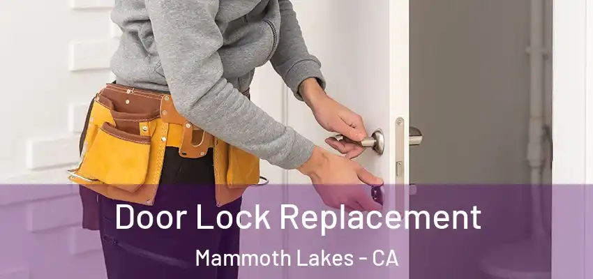  Door Lock Replacement Mammoth Lakes - CA