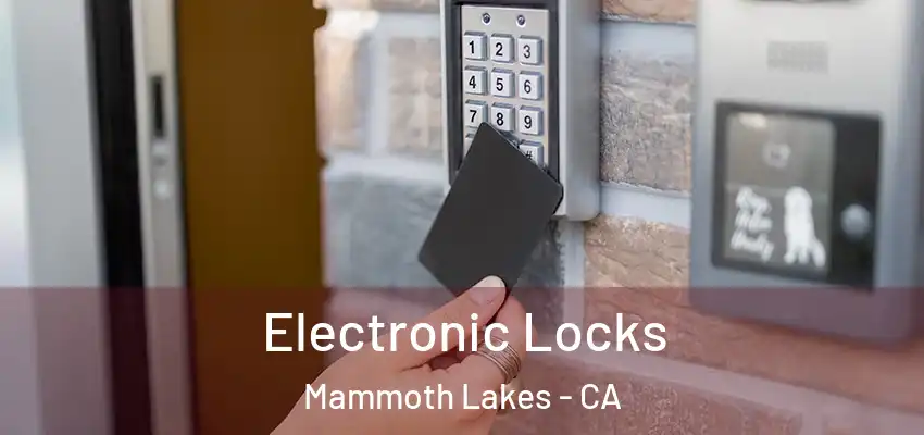  Electronic Locks Mammoth Lakes - CA