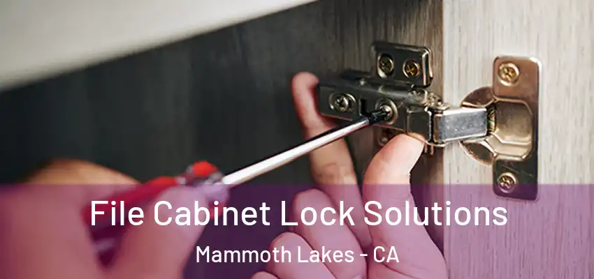  File Cabinet Lock Solutions Mammoth Lakes - CA