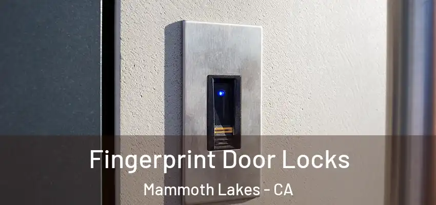 Fingerprint Door Locks Mammoth Lakes - CA