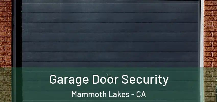  Garage Door Security Mammoth Lakes - CA