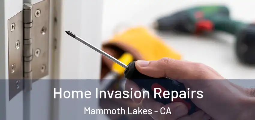 Home Invasion Repairs Mammoth Lakes - CA