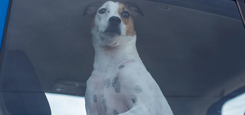 Car Lockout Solutions in Mammoth Lakes, California