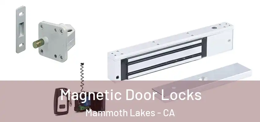  Magnetic Door Locks Mammoth Lakes - CA