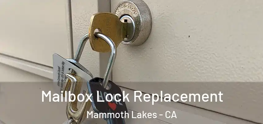  Mailbox Lock Replacement Mammoth Lakes - CA