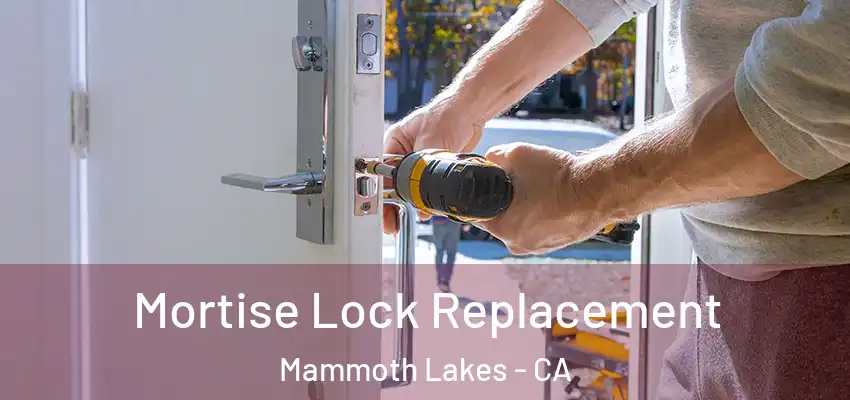  Mortise Lock Replacement Mammoth Lakes - CA