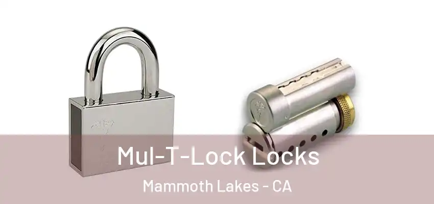  Mul-T-Lock Locks Mammoth Lakes - CA
