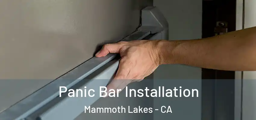  Panic Bar Installation Mammoth Lakes - CA