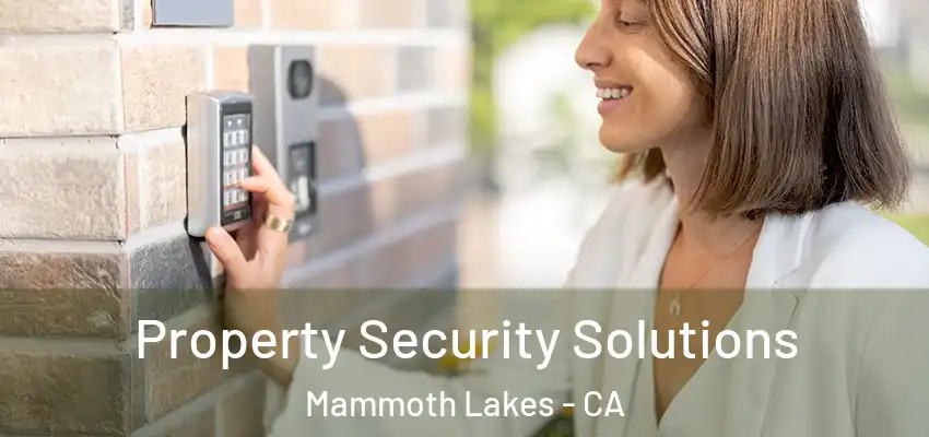  Property Security Solutions Mammoth Lakes - CA