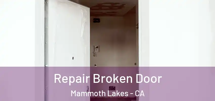 Repair Broken Door Mammoth Lakes - CA