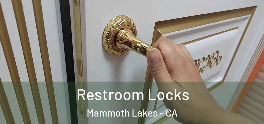  Restroom Locks Mammoth Lakes - CA