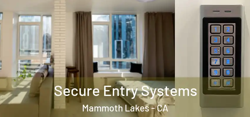  Secure Entry Systems Mammoth Lakes - CA