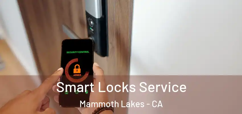  Smart Locks Service Mammoth Lakes - CA