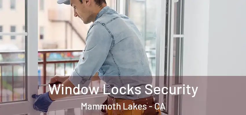  Window Locks Security Mammoth Lakes - CA
