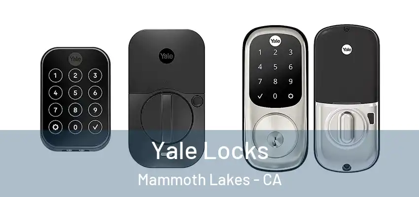  Yale Locks Mammoth Lakes - CA
